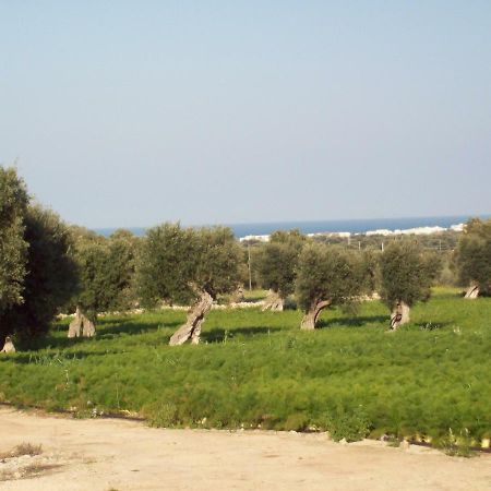 Masseria Ricci Фазано Екстериор снимка