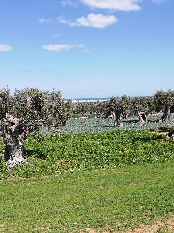 Masseria Ricci Фазано Екстериор снимка