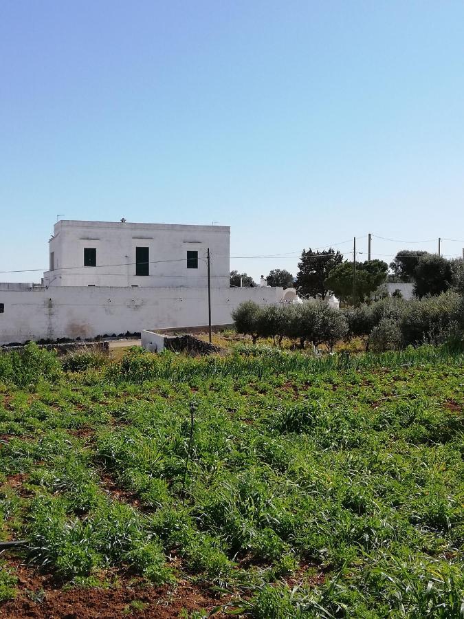 Masseria Ricci Фазано Екстериор снимка