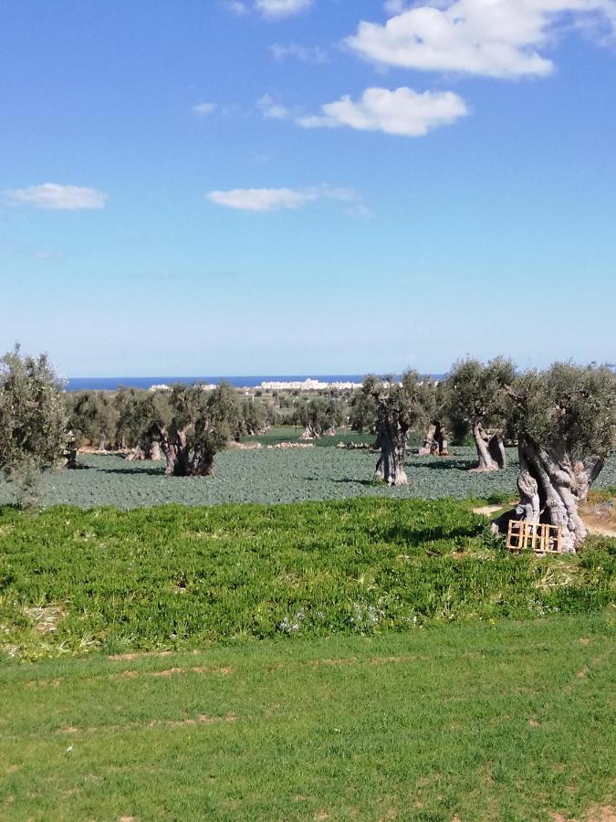 Masseria Ricci Фазано Екстериор снимка
