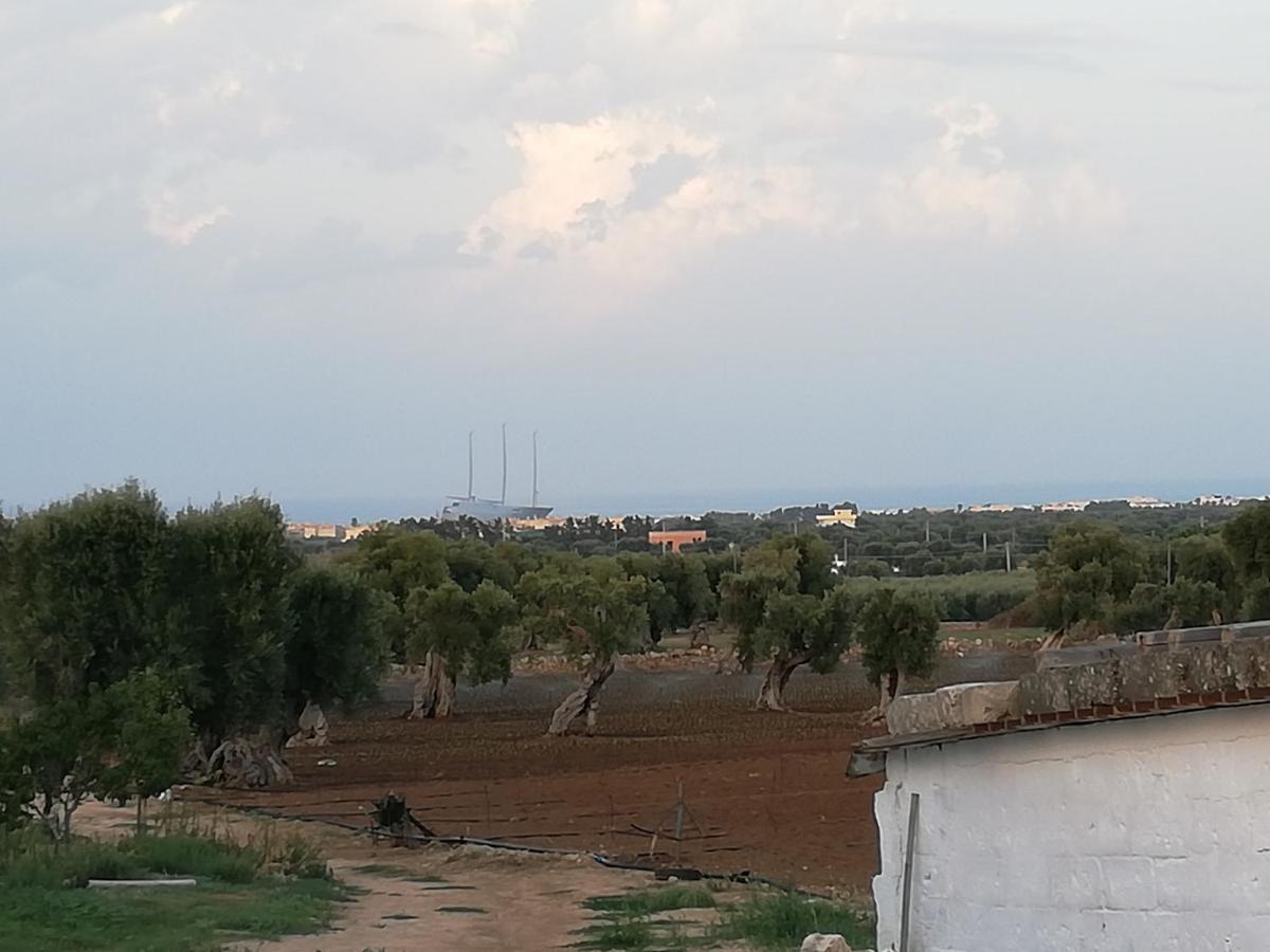 Masseria Ricci Фазано Екстериор снимка