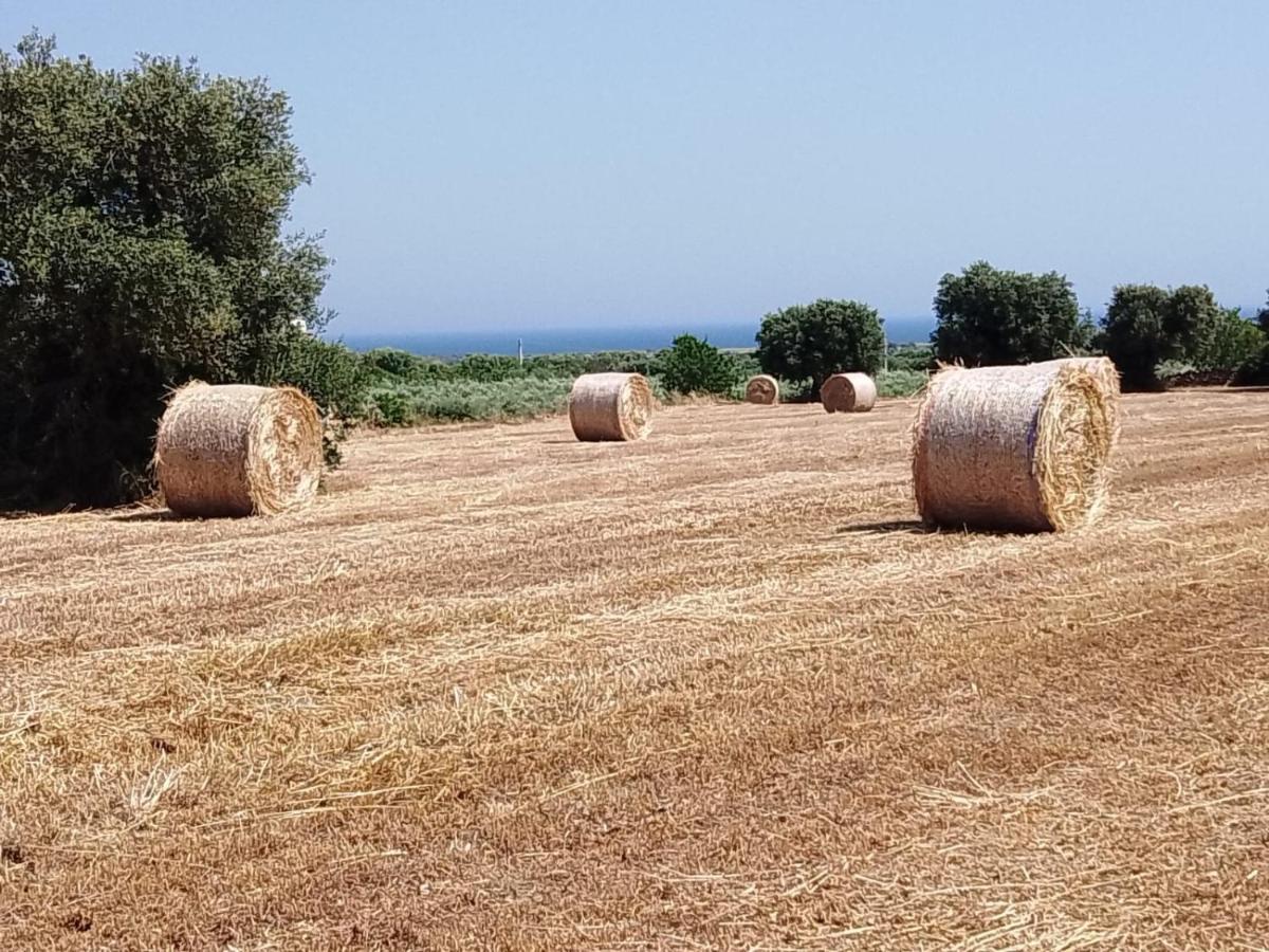 Masseria Ricci Фазано Екстериор снимка