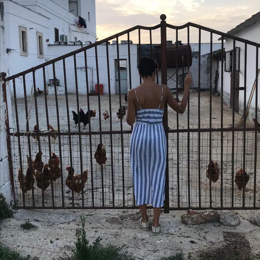 Masseria Ricci Фазано Екстериор снимка